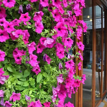 Hotel Igea Padova