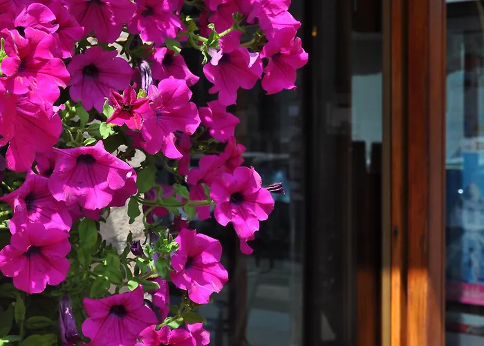 ホテル イゲア 3*